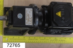 72765 (4)