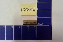 100015