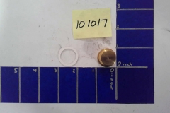 101017