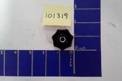 101319